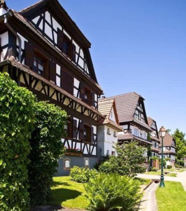 Au Petit Nid De Seebach Екстер'єр фото